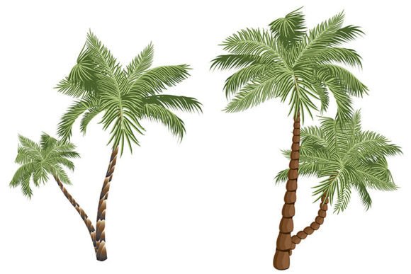Download Two Cartoon Palms - Art Collection