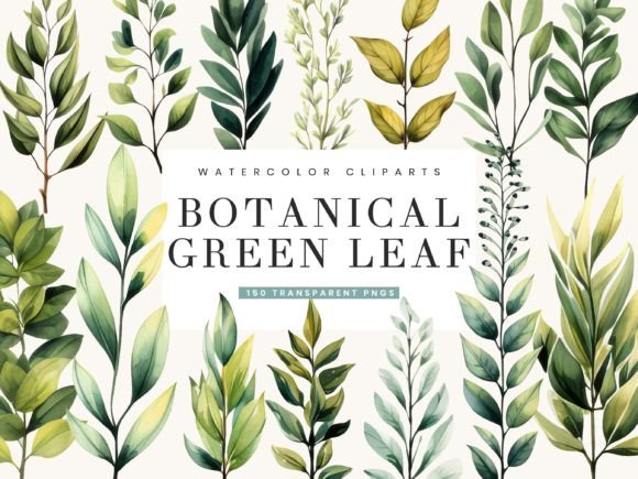 Download Watercolor Botanical Green Leaf Clipart - Art Collection